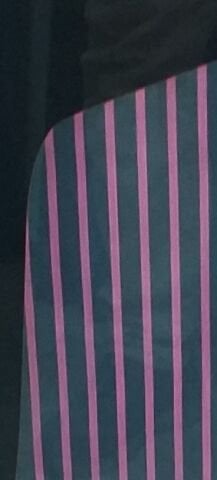 Bossa Pamuklu Gömleklik Kumaş